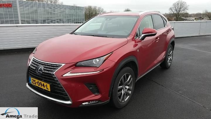 LEXUS LEXUS NX300H 2019 jtjbjrbz502106273