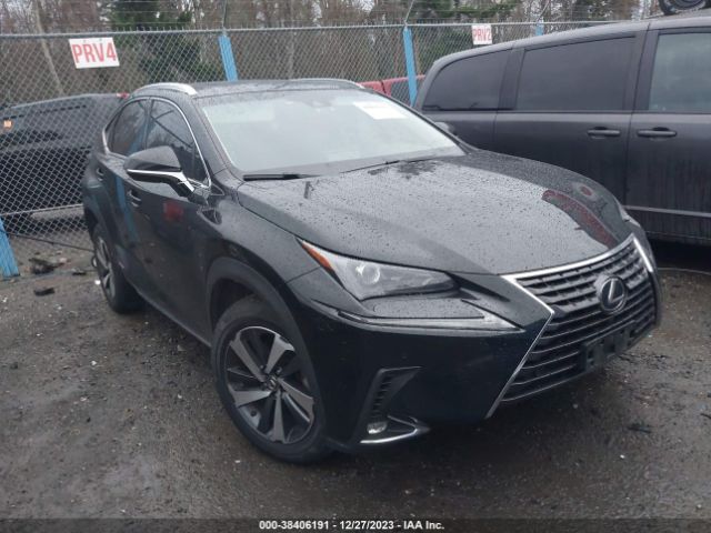 LEXUS NX 300H 2019 jtjbjrbz5k2098081