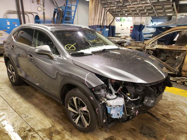 LEXUS NX 300H 2019 jtjbjrbz5k2099909