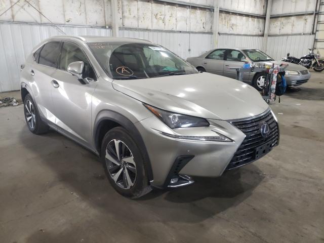 LEXUS NX 300H 2019 jtjbjrbz5k2112593