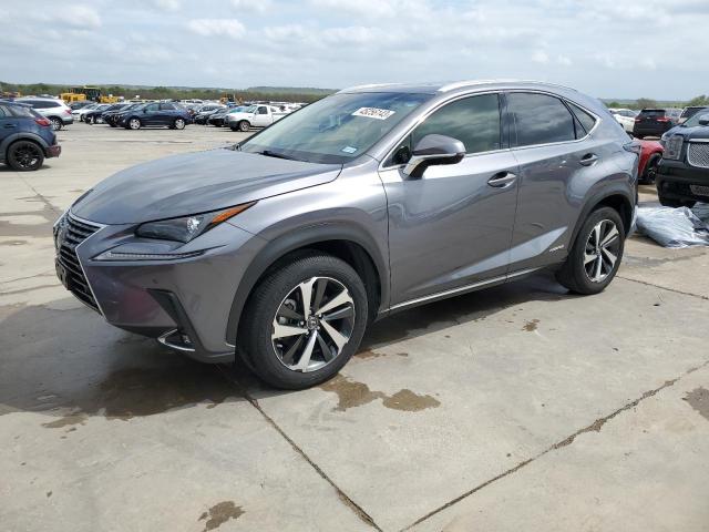 LEXUS NX 300H 2019 jtjbjrbz5k2124405