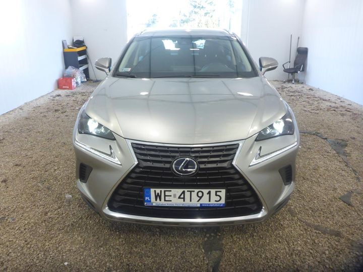 LEXUS NX 2021 jtjbjrbz602170323