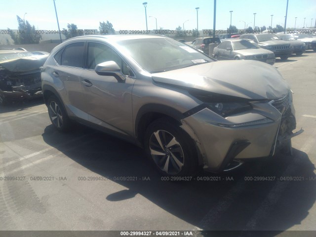 LEXUS NX 2019 jtjbjrbz6k2100145