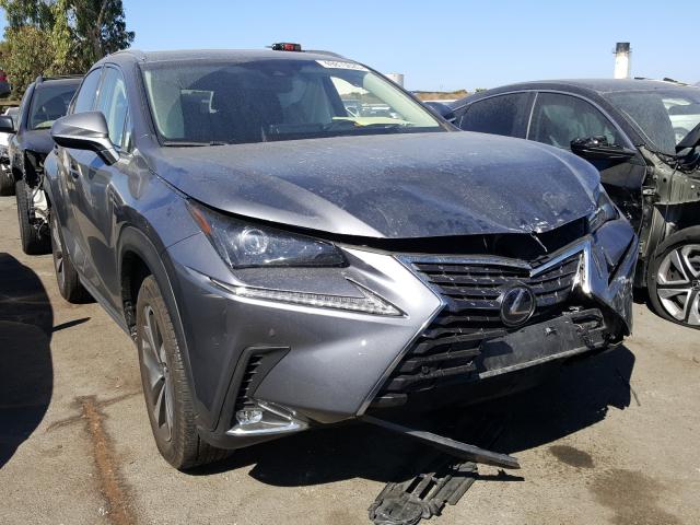 LEXUS NX 300H 2019 jtjbjrbz6k2104194