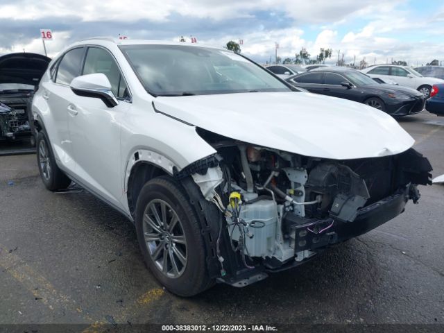 LEXUS NX 300H 2019 jtjbjrbz6k2111890