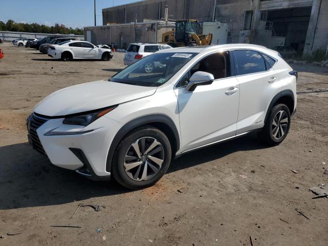 LEXUS NX 300H 2019 jtjbjrbz6k2118998