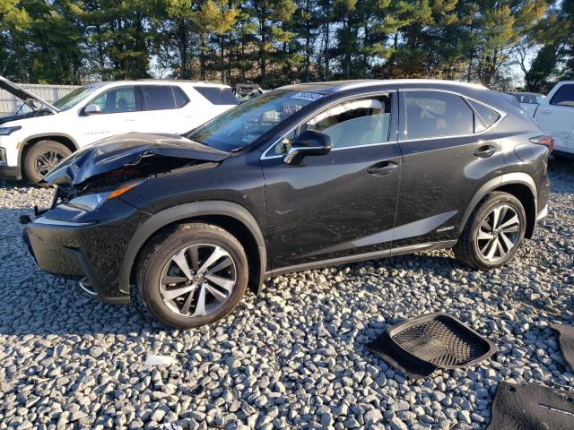 LEXUS NX 2019 jtjbjrbz7k2106228