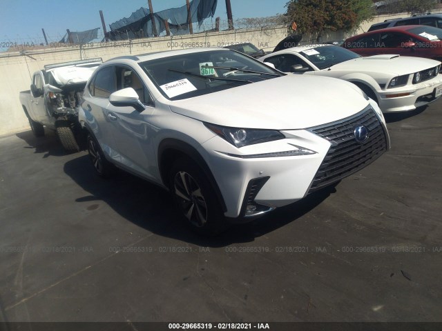 LEXUS NX 2019 jtjbjrbz7k2115351