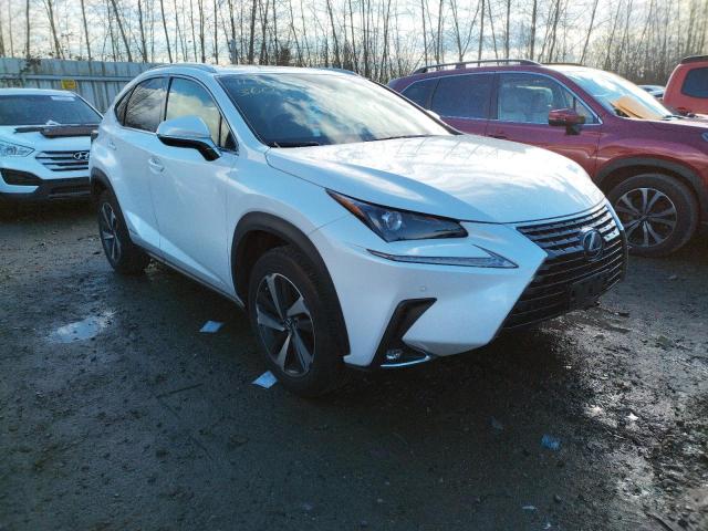 LEXUS NX 300H 2019 jtjbjrbz7k2119819