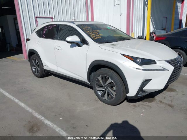 LEXUS NX 2019 jtjbjrbz8k2107212