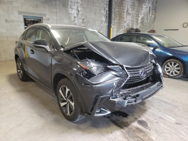 LEXUS NX 300H 2019 jtjbjrbz8k2113897