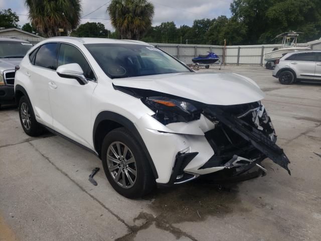 LEXUS NX 300H 2019 jtjbjrbz8k2121093