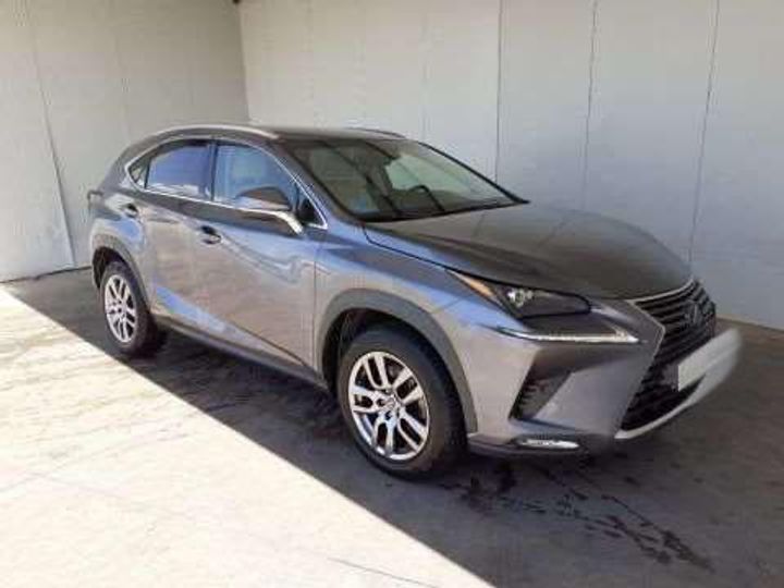 LEXUS NX 2019 jtjbjrbz902116434