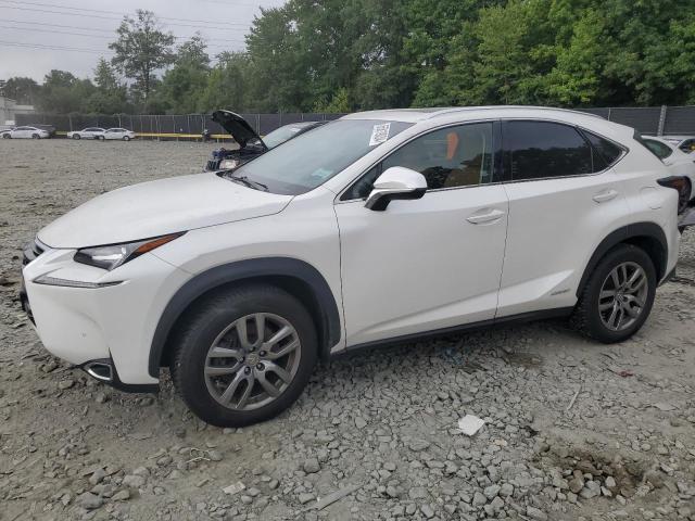 LEXUS NX 2016 jtjbjrbz9g2045312