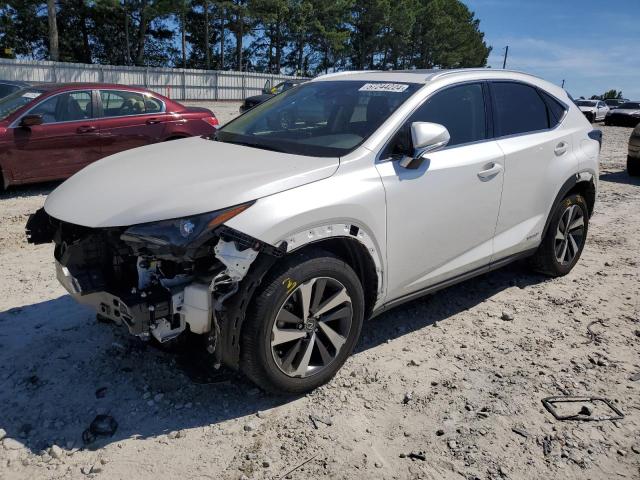 LEXUS NX 2019 jtjbjrbz9k2096740