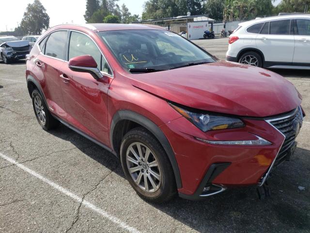 LEXUS NX 300H 2019 jtjbjrbz9k2098245