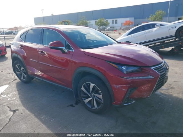 LEXUS NX 300H 2019 jtjbjrbz9k2106926