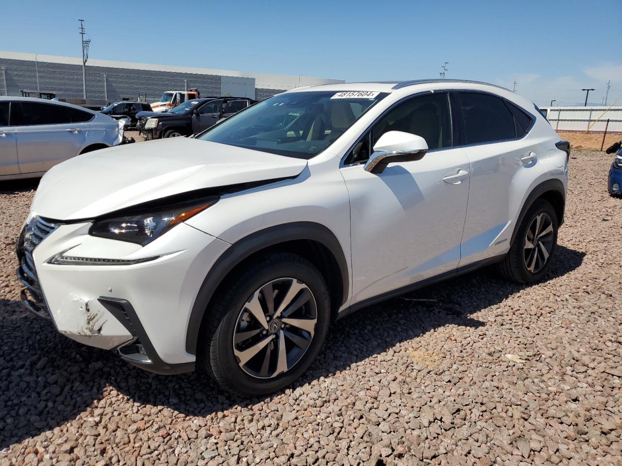 LEXUS NX 2019 jtjbjrbz9k2109616