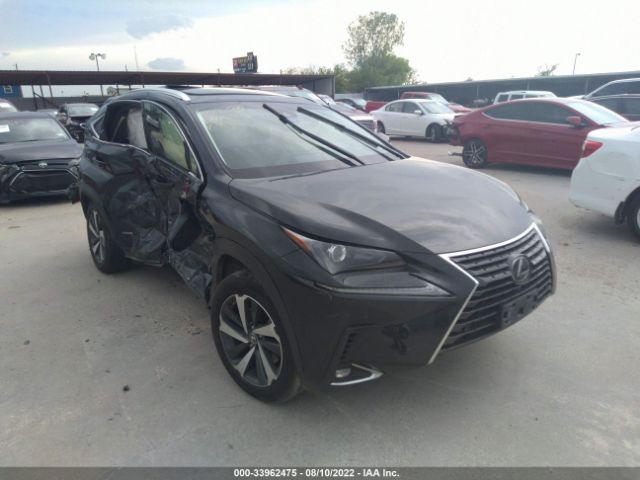 LEXUS NX 2019 jtjbjrbzxk2103548