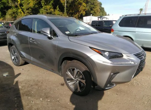 LEXUS NX 2019 jtjbjrbzxk2109513