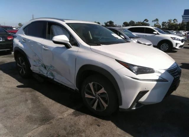 LEXUS NX 2019 jtjbjrbzxk2110287