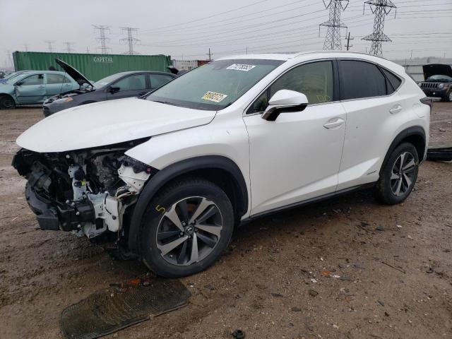 LEXUS NX 300H 2019 jtjbjrbzxk2120074