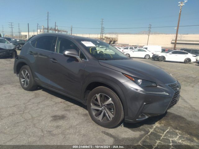 LEXUS NX 300H 2019 jtjbjrbzxk2120513