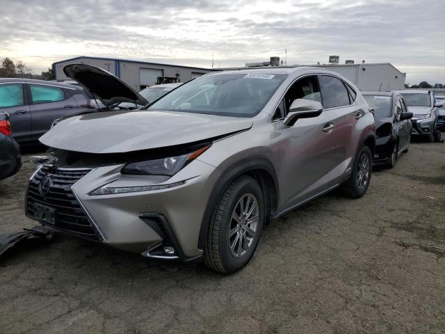 LEXUS NX 2019 jtjbjrbzxk2120611