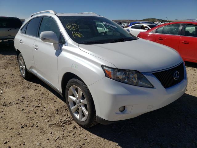 LEXUS RX 350 2010 jtjbk1ba0a2410329