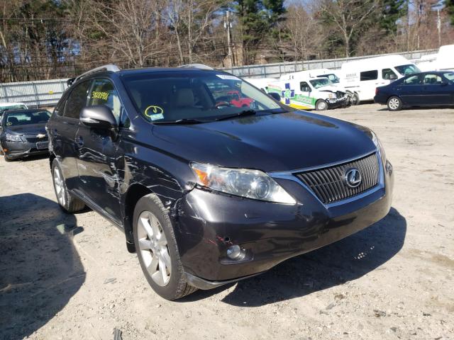 LEXUS RX 350 2010 jtjbk1ba1a2003068