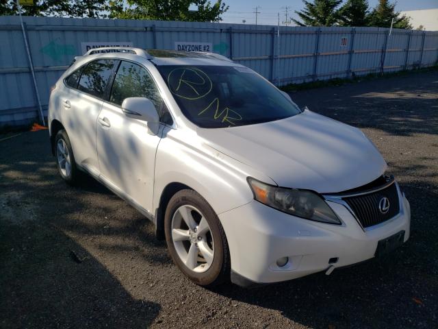 LEXUS RX 350 2010 jtjbk1ba2a2409196