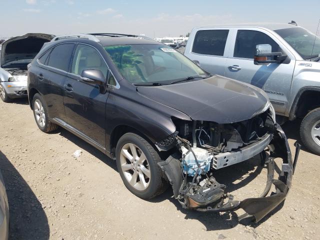 LEXUS RX 350 2010 jtjbk1ba3a2006439