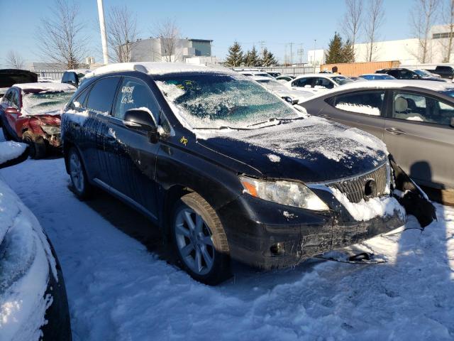 LEXUS RX 350 2010 jtjbk1ba5a2429698