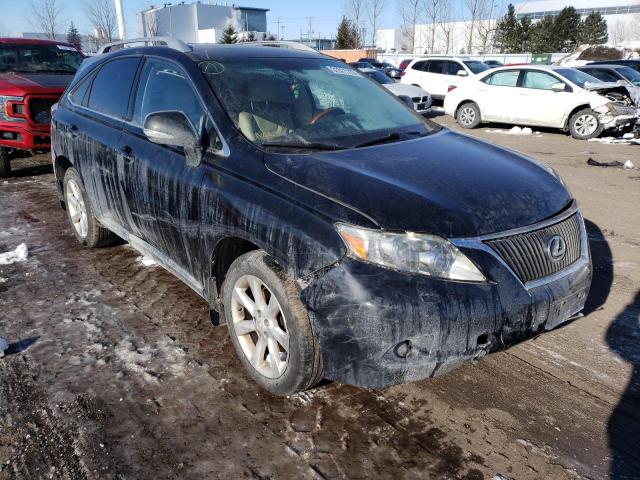 LEXUS RX 350 2010 jtjbk1ba7a2413499