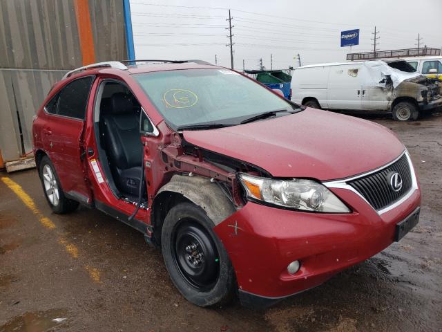 LEXUS RX 350 2010 jtjbk1ba8a2006517