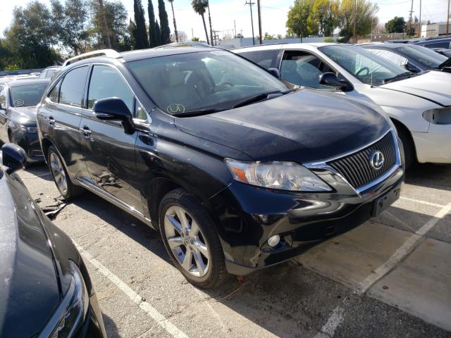 LEXUS RX 350 2010 jtjbk1ba8a2409459