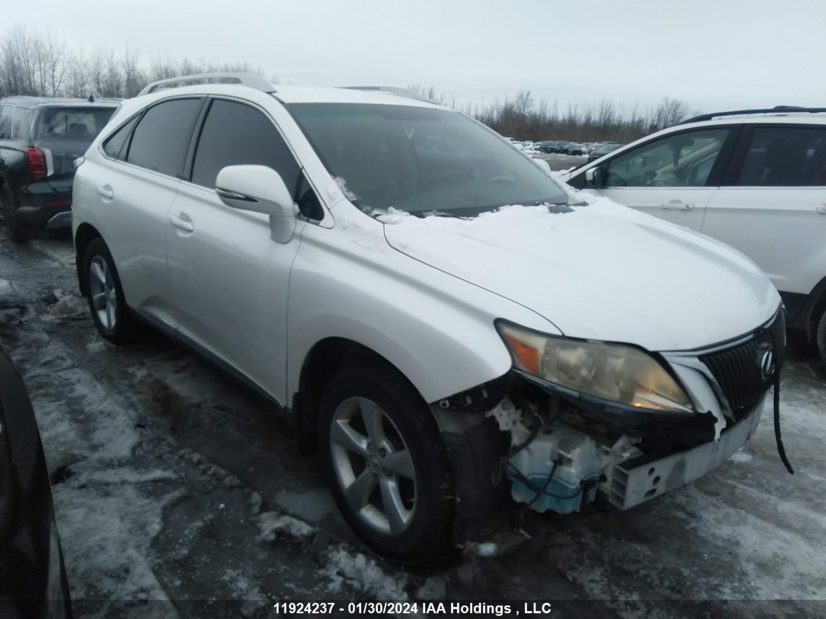 LEXUS RX 2010 jtjbk1ba9a2405064