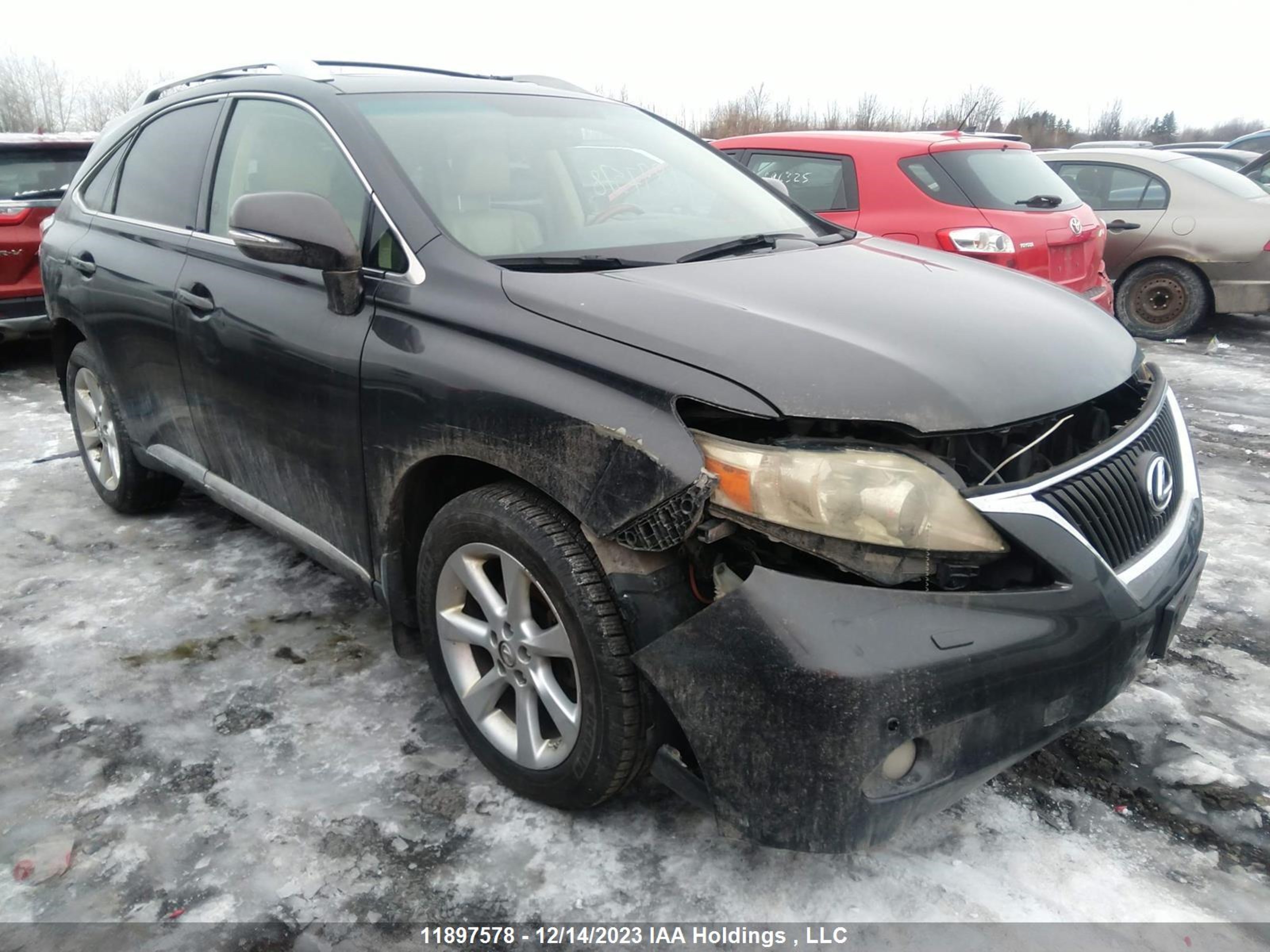 LEXUS RX 2010 jtjbk1ba9a2406926