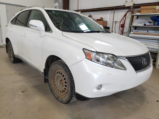 LEXUS RX 350 2012 jtjbk1ba9c2446412