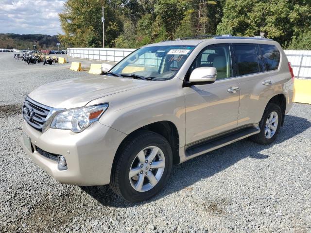 LEXUS GX 460 2010 jtjbm7fx0a5001158