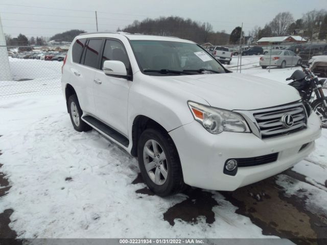 LEXUS GX 460 2010 jtjbm7fx0a5013312