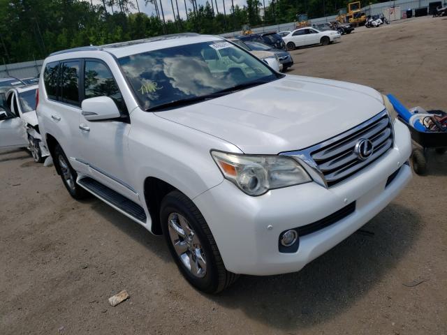 LEXUS GX 460 2010 jtjbm7fx0a5016792