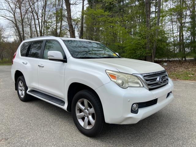 LEXUS GX 460 2010 jtjbm7fx1a5009494