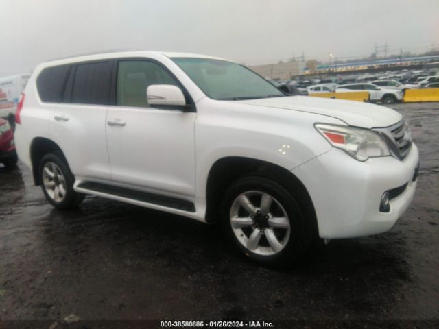 LEXUS GX 460 2010 jtjbm7fx1a5011780