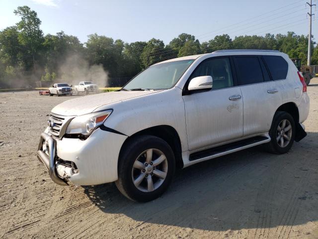 LEXUS GX 460 2011 jtjbm7fx1b5019900