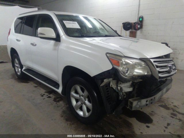 LEXUS GX 460 2011 jtjbm7fx1b5029780