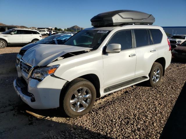 LEXUS GX 460 2011 jtjbm7fx1b5035322