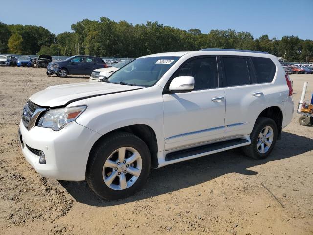 LEXUS GX 460 2012 jtjbm7fx1c5046547