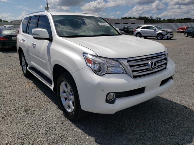 LEXUS GX 460 2010 jtjbm7fx2a5008337