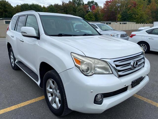 LEXUS GX 460 2010 jtjbm7fx2a5011352